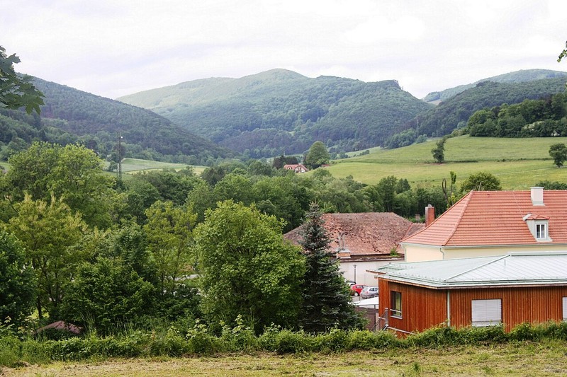 Маєрлінг