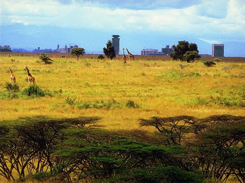 Національний Парк Найробі