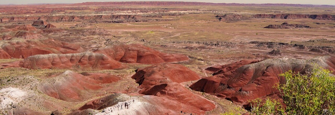 Petrified Forest National Park
