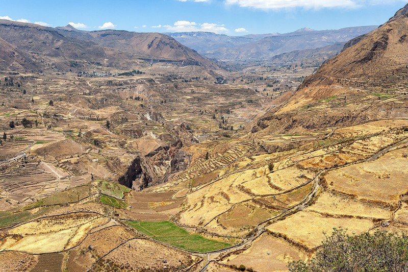 Canyon de Colca