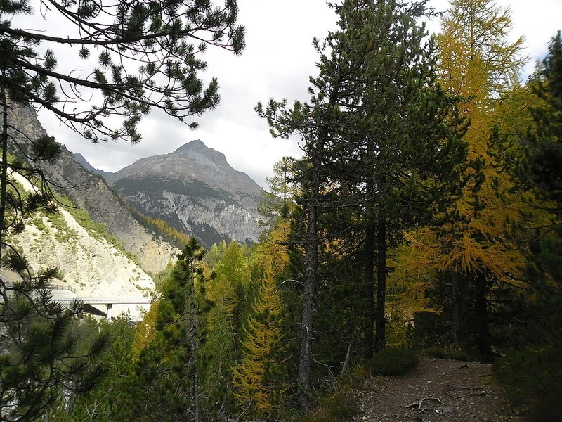 Swiss National Park