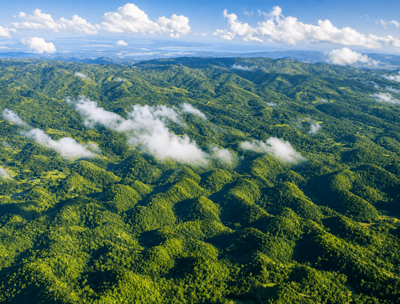 Chocolate Hills