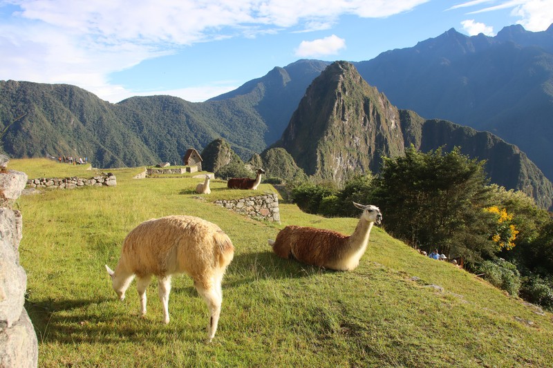 Huayna Picchu