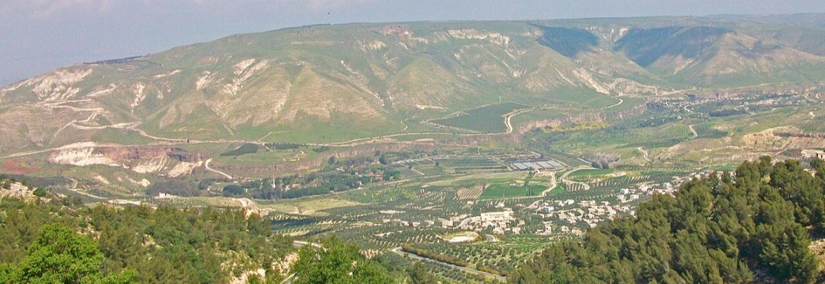 Голанські висоти