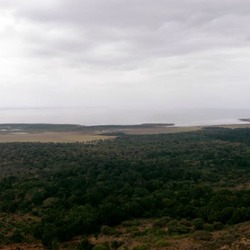 マニヤラ湖国立公園