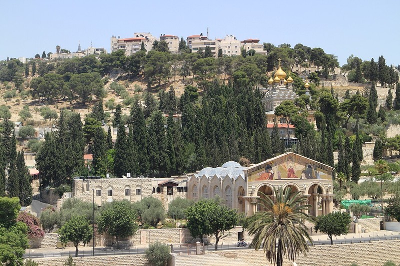 Monte de los olivos