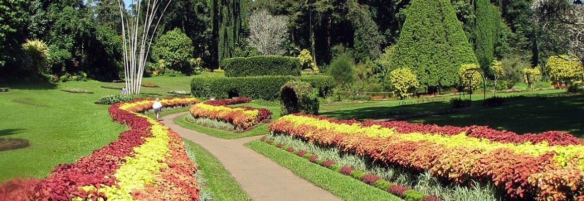 Jardim Botânico Real de Peradeniya