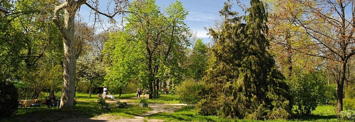 Одесский ботанический сад