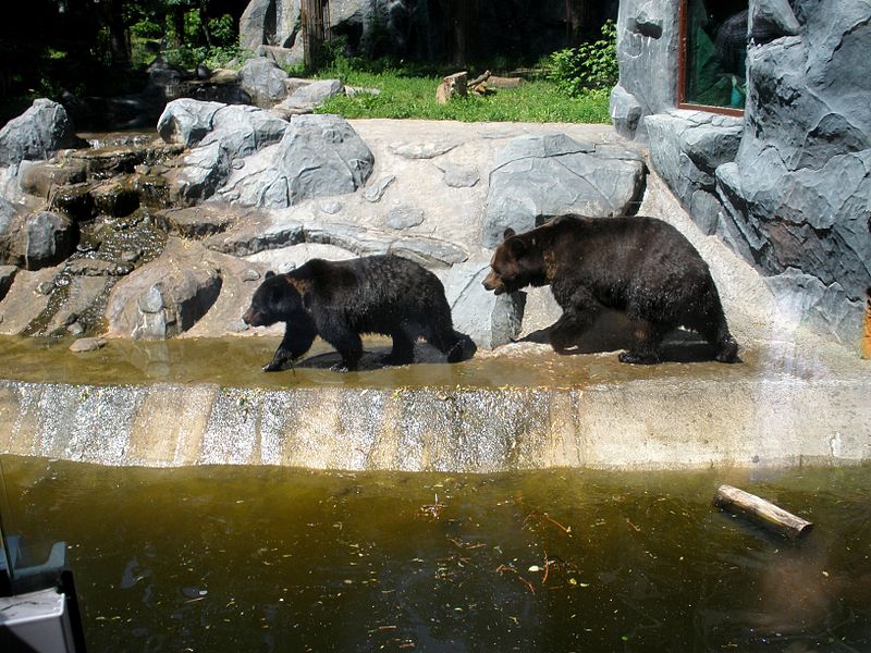 Zoo de Kiev