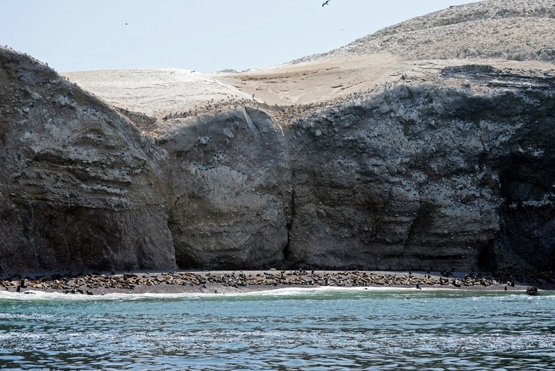 Ballestas-Inseln