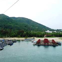 جزيرة نانوان القرد