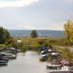 بحيرة نيوسيدل