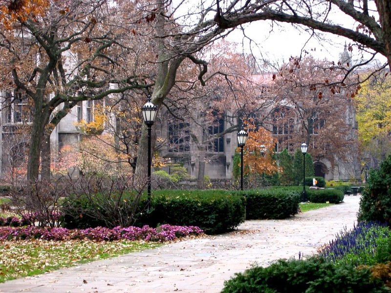 Universidade de Chicago