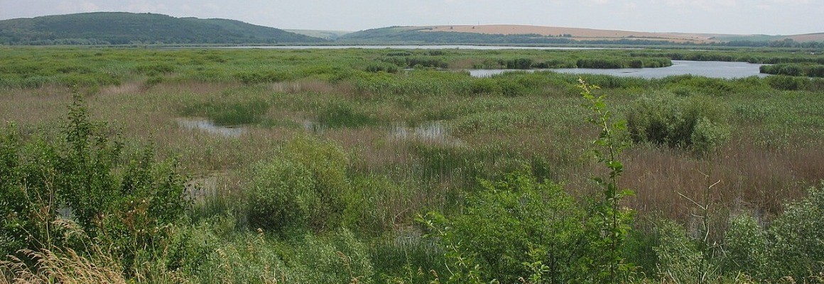 Srebarna Nature Reserve