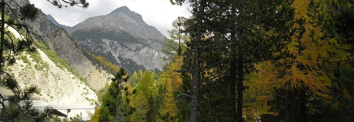Schweizerischer Nationalpark