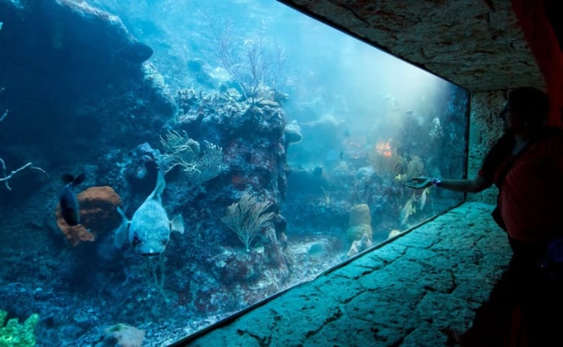 Interactive aquarium in Cancun