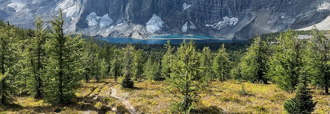 Parque Nacional Terra Nova