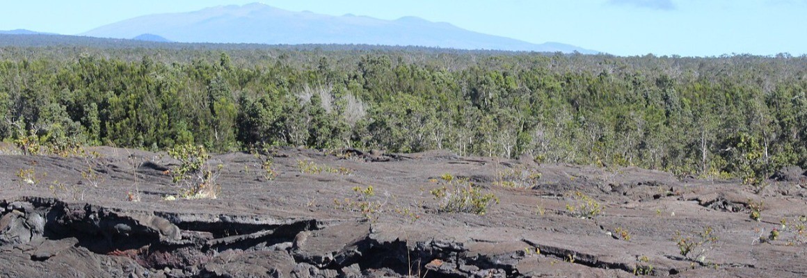 Mauna Kea
