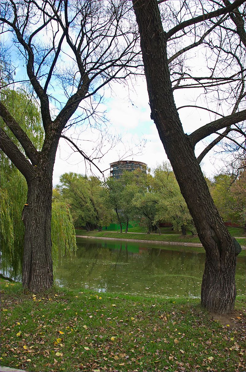 ノヴォデヴィチの池