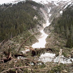 メルカントゥール国立公園