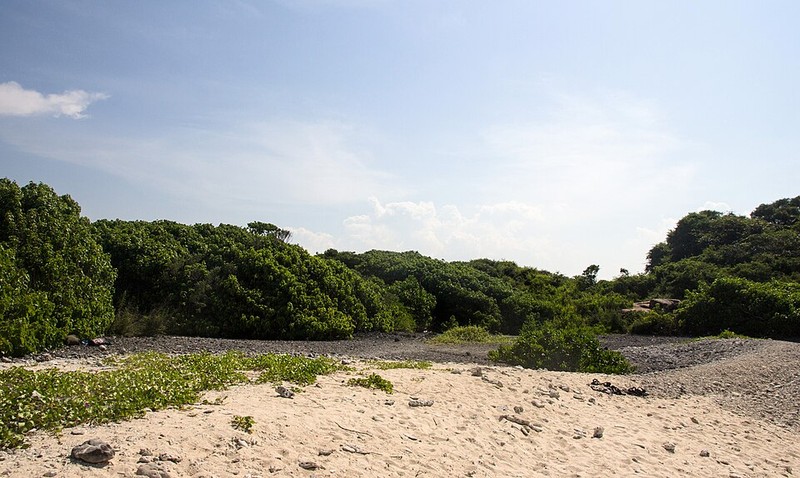 Parque Nacional da Ilha Pigeon
