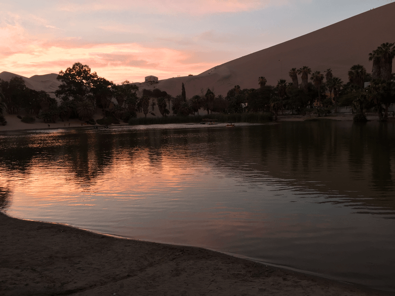 Oasis de Huacachina