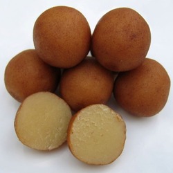 Марципания в Эгере