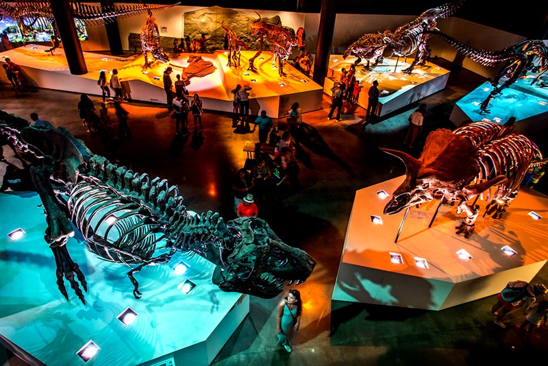 Houston Museum für Naturwissenschaften