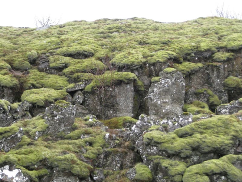 Parque Nacional Thingvellir