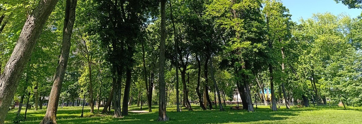 Маріїнський парк