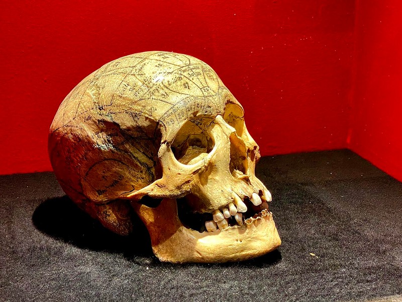 Museo Dr. Guislain