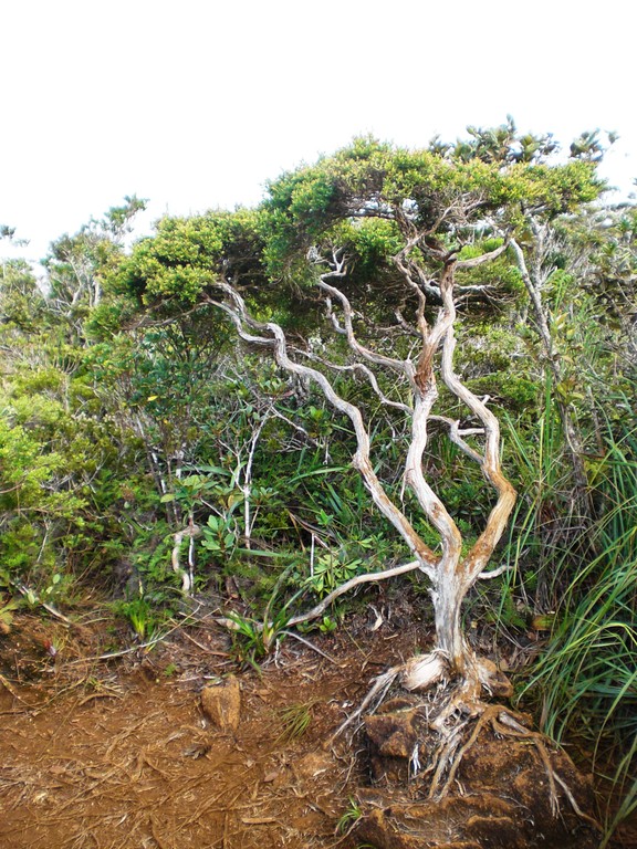 哈米吉坦山脉野生生物保护区