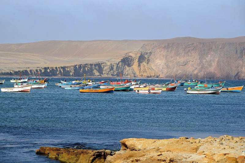 Réserve nationale de Paracas