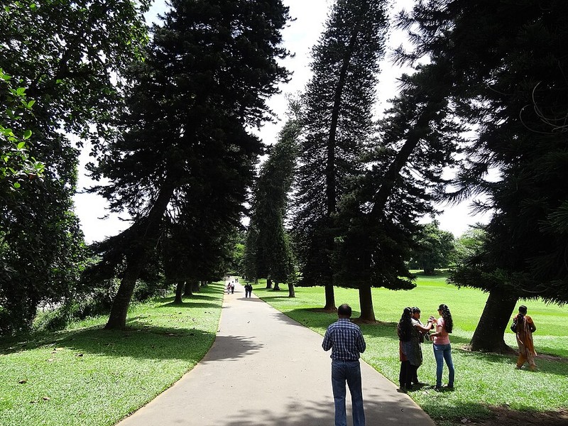 Jardim Botânico Real de Peradeniya