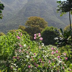 カーステンボッシュ