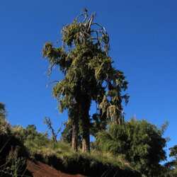 アバーディア国立公園