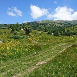 ヴィトシャ自然保護区