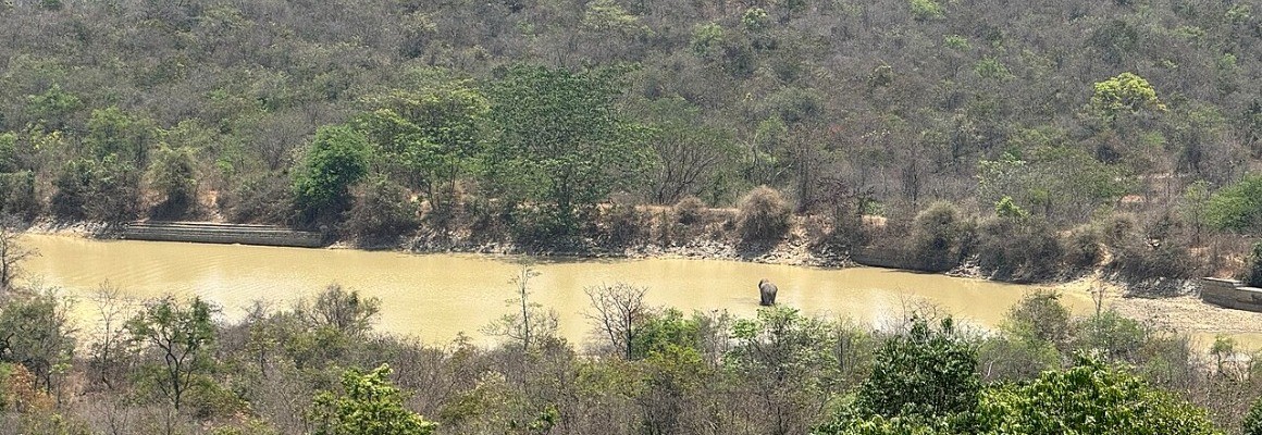 Bannerghatta