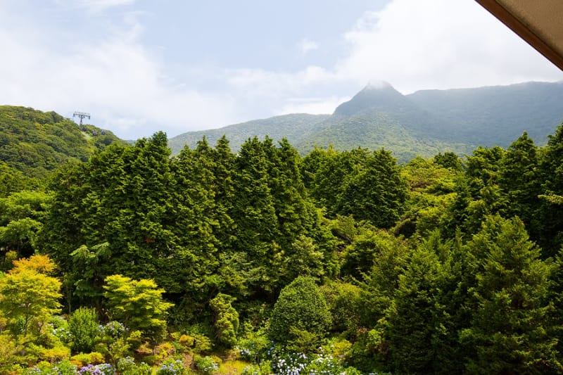Национальный парк Фудзи-Хаконэ-Идзу