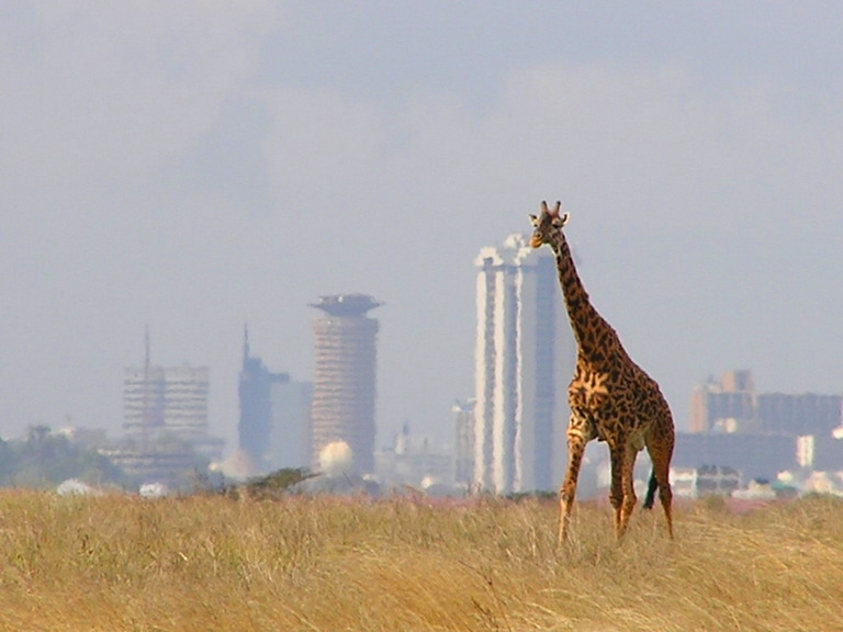 Національний Парк Найробі