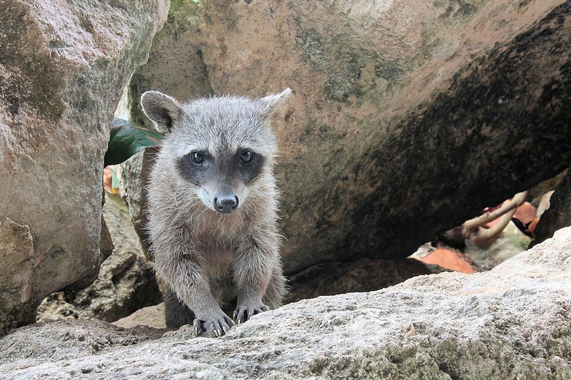 اكسكاريت بارك - photo 7
