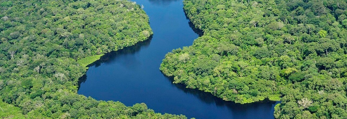 Amazon River