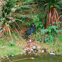 Национальный парк Фьордленд