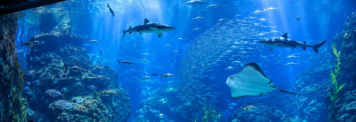 ジェノヴァ水族館