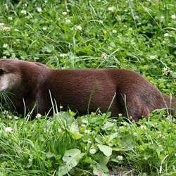 New Forest National Park