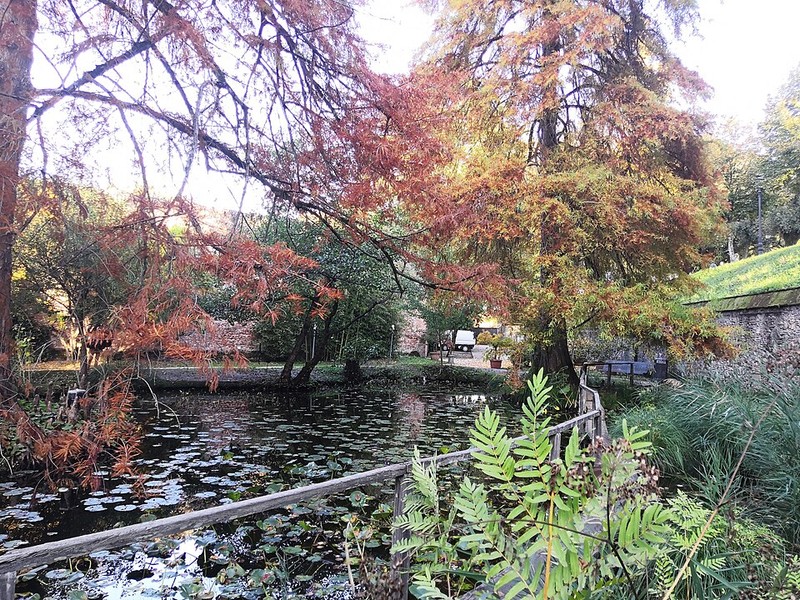 卢卡植物园 - photo 7