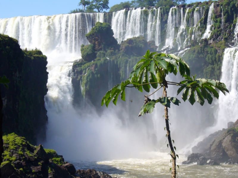 Parc national d'Iguazu