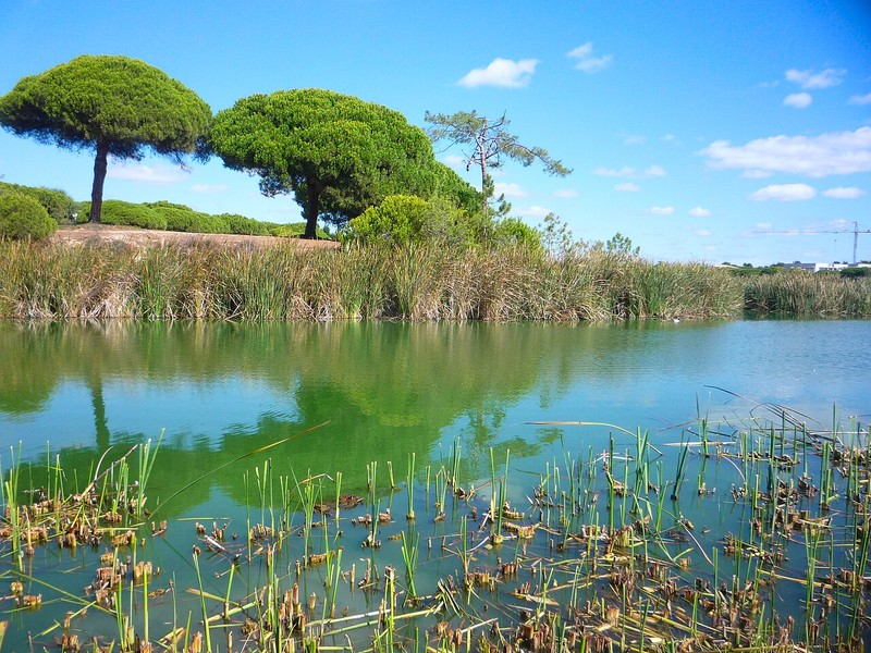 Ria Formosa