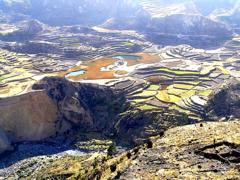 Canyon de Colca