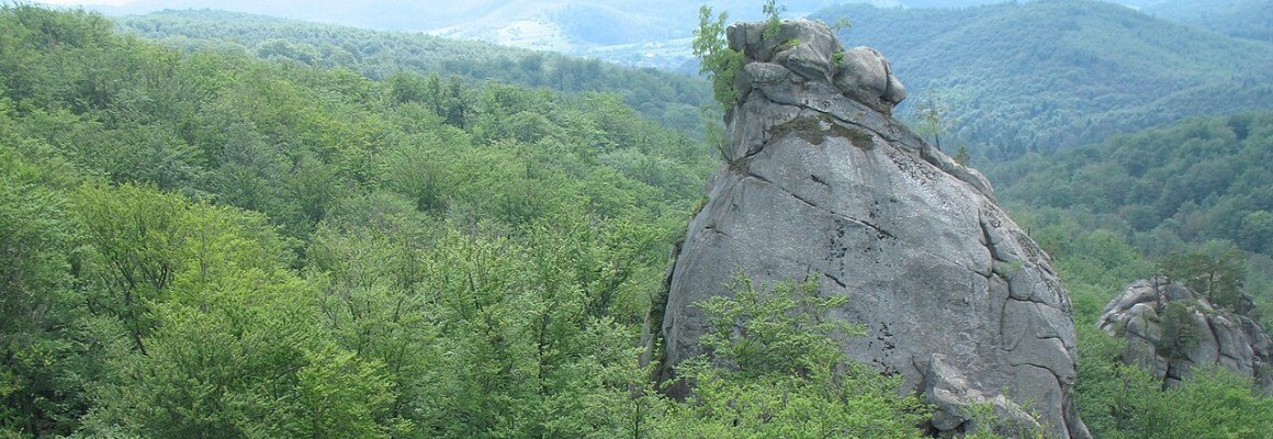 Dovbush rockt